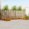 vidaXL Ensembles de canap&eacute;s 10 pcs Naturel Bois d'Acacia Massif
