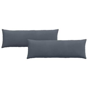 vidaXL Coussins de canap&eacute; 2 pcs Gris fonc&eacute; 120 x 40 cm