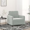 vidaXL Fauteuil Gris clair 60 cm Velours