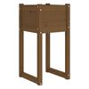 vidaXL Jardinières 2 pcs Marron miel 40x40x81 cm Bois massif de pin