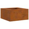 vidaXL Braise Marron 60 x 60 x 30 cm Acier