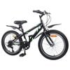 vidaXL V&eacute;lo pour Enfants 20 Pouces 6-Speed
