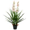 vidaXL Plante artificielle Orchid&eacute;e Cymbidium avec pot 100 cm Vert