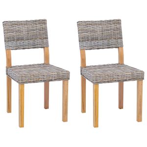 vidaXL Chaise de salle &agrave; manger GENDT 2 pc Rattan Kubu Gris Kubu