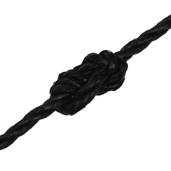 vidaXL Corde de travail noir 3 mm 50 m polypropyl&egrave;ne