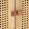vidaXL Buffet 80x30x73 cm Bois de manguier massif et canne naturelle