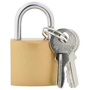 vidaXL U Lock avec Cl&eacute;s 12 pi&egrave;ces Laiton Fer