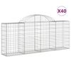 vidaXL Paniers &agrave; gabions arqu&eacute;s 40 pcs 200x30x80/100 cm Fer galvanis&eacute;