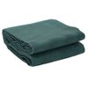 vidaXL Tapis de tente vert 4x2 m