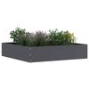 vidaXL Bordure de Pelouse 6 pcs Anthracite 60 x 60 x 13 cm Acier