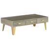 vidaXL Table basse Bois de manguier Gris avec laiton 110x60x35 cm