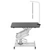 Table Toilettage Ajustable Hydraulique pour Chiens Chats Animaux
