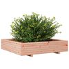 vidaXL Jardini&egrave;re 110x110x26,5 cm bois massif de douglas