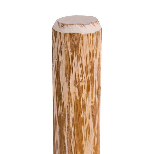 vidaXL Poteaux pointus de cl&ocirc;ture 4 pcs Bois de noisetier 120 cm