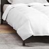 vidaXL Duvet d'hiver Blanc 140 x 200 cm Plume