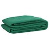vidaXL Filet pour remorque vert 3,5x5 m PEHD