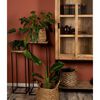 HSM Collection Ensemble de supports &agrave; plantes 2 pcs 40x40x110 cm