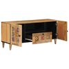 vidaXL Meuble TV Naturel 105 x 33,5 x 46 cm Bois de mangue massif