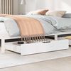 vidaXL Tiroirs sous le lit 2 pcs blanc 90x55x17 cm bois de pin massif