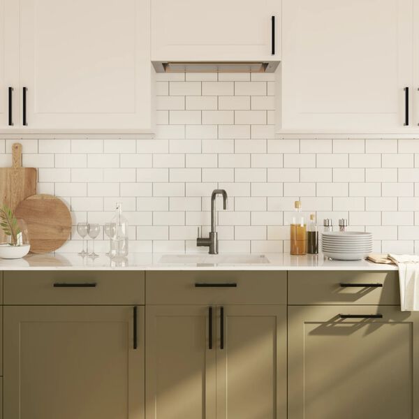 vidaXL Poignées d'armoire 10 pcs noir 160 mm acier inoxydable