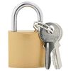 vidaXL U Lock avec Cl&eacute;s 100 pcs Laiton Fer