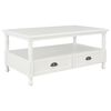 vidaXL Table basse Blanc 100x55x45 cm Bois
