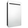 vidaXL Armoire de salle de bain à miroir LED noir brillant 60x11x80 cm