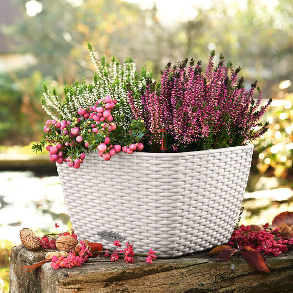 LECHUZA Jardini&egrave;re BACINO Cottage ALL-IN-ONE 30x30 cm blanc