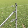 Vignette du produit 4 sur 11