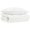 vidaXL Ensemble de couette 90 % en duvet d&rsquo;oie FULDA 2 pc 135 x 200 cm