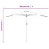 vidaXL Parasol de balcon avec m&acirc;t en aluminium Noir 300x155x223cm Demi
