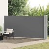 vidaXL Auvent lat&eacute;ral r&eacute;tractable de patio 170x1200 cm Anthracite