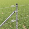 Vignette du produit 5 sur 17
