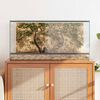 vidaXL Terrarium avec stockage Transparent 80 x 40 x 40 cm Verre