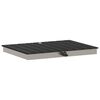 vidaXL Douche de jardin WPC et Acier inoxydable 201 Anthracite