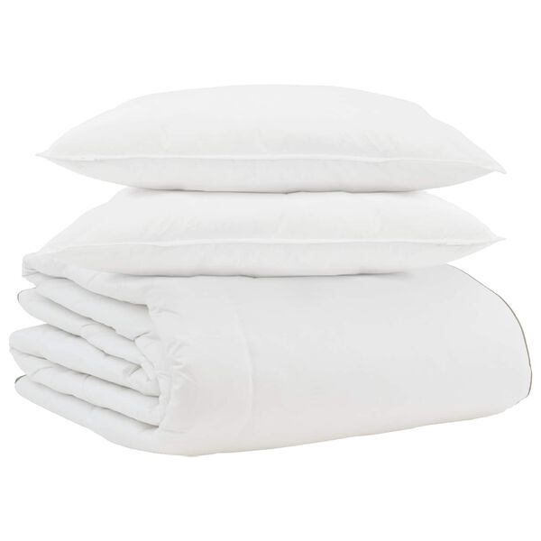 vidaXL Duvet d'hiver avec oreiller 3 pcs Blanc Plume de canard