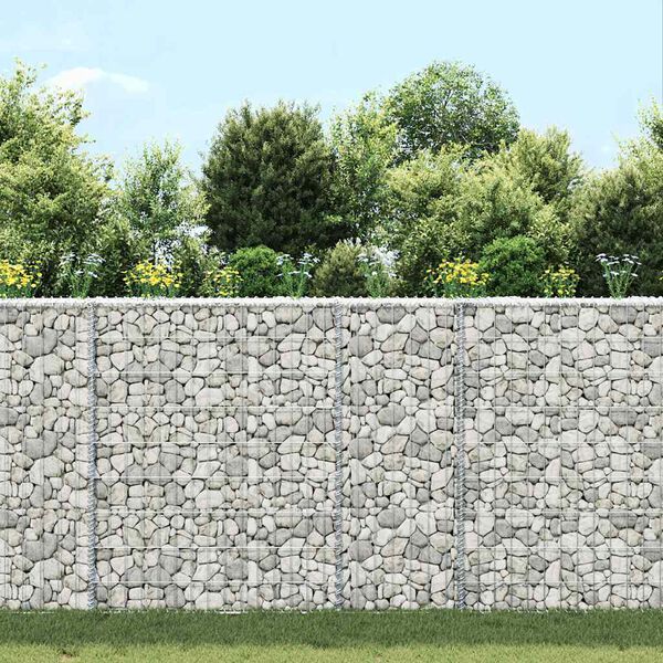 vidaXL Lit surélevé à gabion en trapèze Acier galvanisé 80x20x100 cm