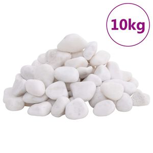 vidaXL Galets polis 10 kg blanc 2-5 cm