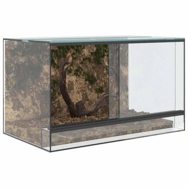 vidaXL Habitats pour reptiles et amphibiens Blanc 50 x 30 x 30 cm