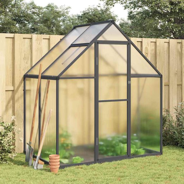 vidaXL Serre avec cadre de base anthracite 169x114x195 cm aluminium