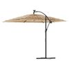 vidaXL Parasol de jardin avec LED et m&acirc;t en acier marron 246x246x230cm