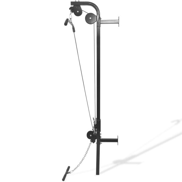 vidaXL Appareil de musculation mural avec 2 poulies