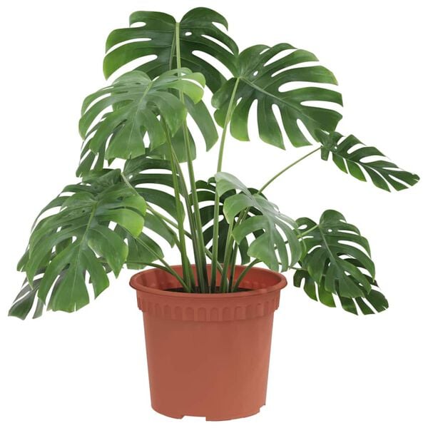 vidaXL Pot &agrave; fleurs rond 24 pcs Rouge brique &Oslash; 12,5 x 10 cm Plastique