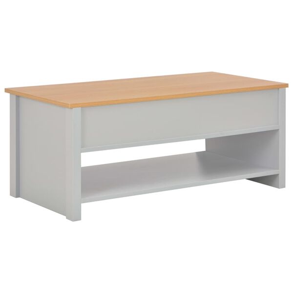 vidaXL Table basse Gris 100x50x42 cm