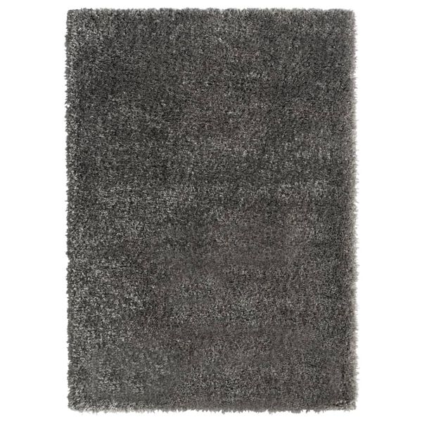 vidaXL Tapis shaggy &agrave; poils hauts Anthracite 120x170 cm 50 mm