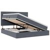 vidaXL Lit de rangement LED avec matelas Gris fonc&eacute; 160 x 200 cm