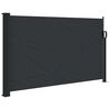 vidaXL Auvent lat&eacute;ral r&eacute;tractable noir 120x600 cm