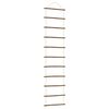 vidaXL D&eacute;coration murale en forme d'&eacute;chelle 50x200cm branche naturelle