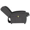 vidaXL Fauteuil de massage inclinable à 2 places gris foncé