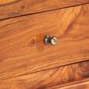 vidaXL Meuble TV 120x30x40 cm Bois d'acacia massif